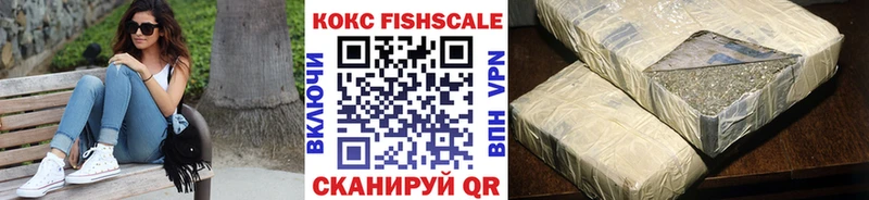 COCAIN Fish Scale  Купить  Белебей 