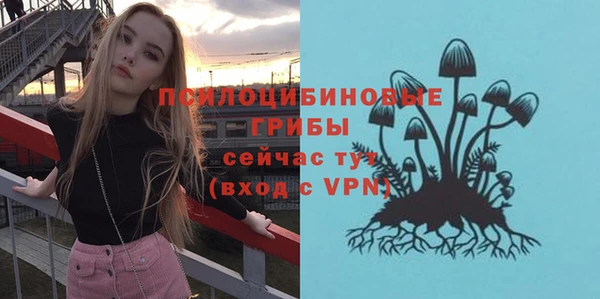 винт Богданович