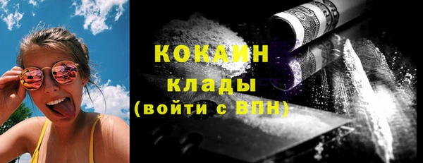 дживик Богородск
