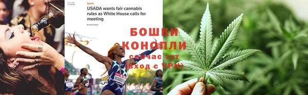 винт Богданович