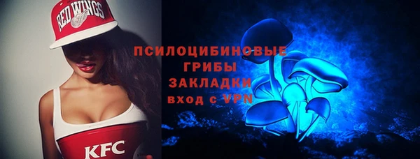 дживик Богородск