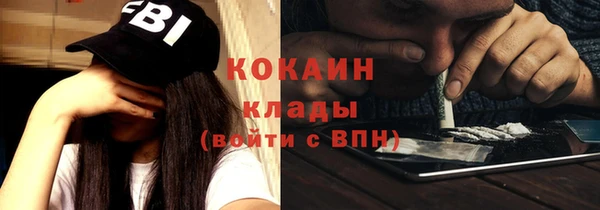 дживик Богородск