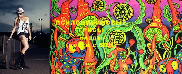 винт Богданович