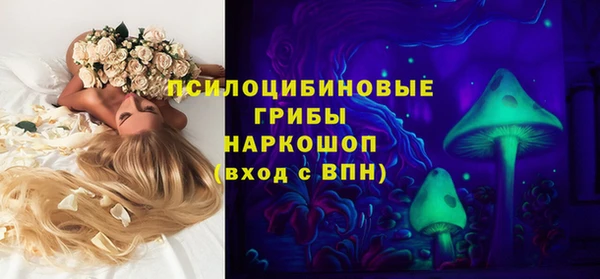 дживик Богородск